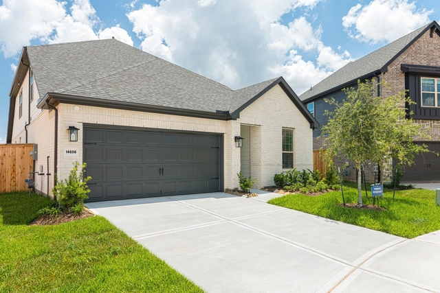 14606 Daffodil Plains Lane - Photo 1