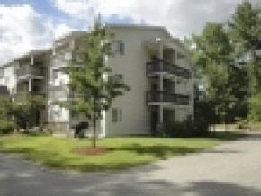 99 Mammoth - Photo 1