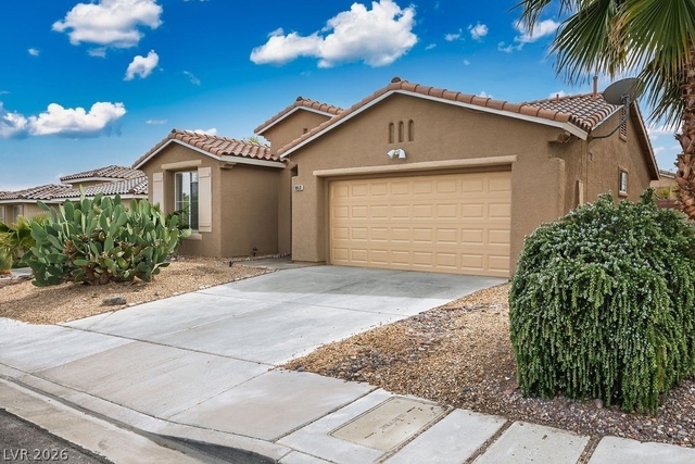 10513 Shanna Trellis Avenue - Photo 1