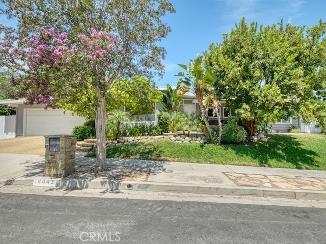 4443 Callada - Photo 1