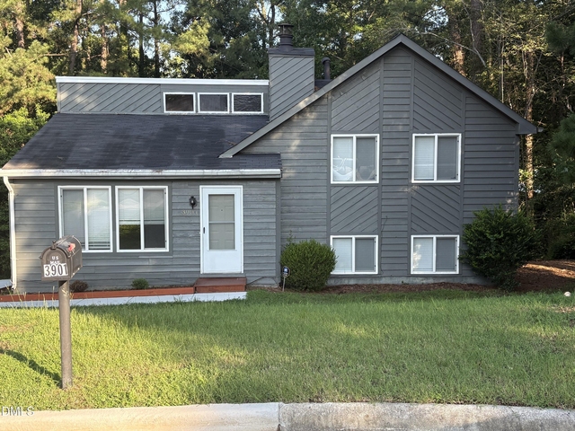 3901 Peppertree Place - Photo 1