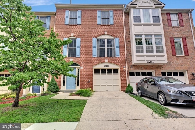 14203 Plum Run Way - Photo 1