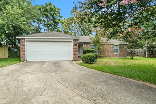 16305 Many Trees Lane - Photo 1