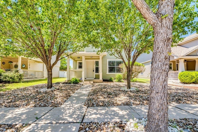 1507 Davis Mountain Loop - Photo 1