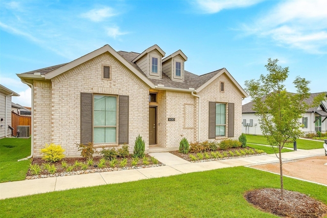 10512 Palmera Road - Photo 1