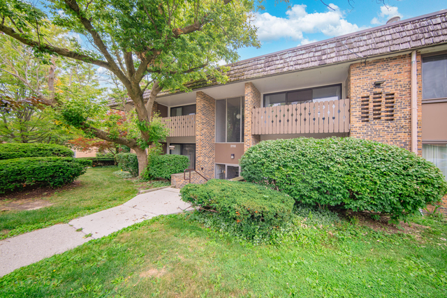 2118 Pauline Boulevard - Photo 1