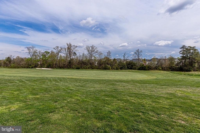 25634 Creek Run Terrace - Photo 1