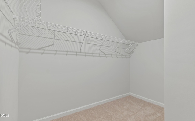 602 Market Grove Drive - Photo 1