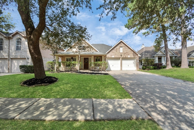 13339 Yaupon Holly Lane - Photo 1