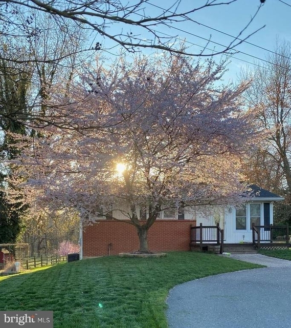 5193 Old Solomons Island Road - Photo 1