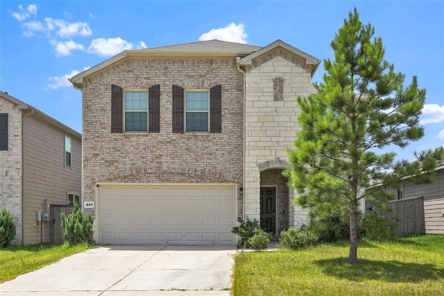 234 Pine Cavern Drive - Photo 1