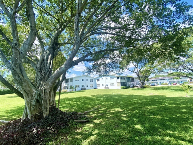 335 Farnham P - Photo 1