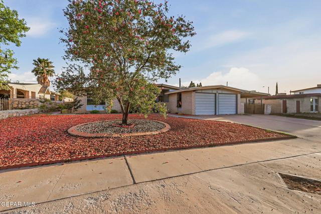 8408 Mineola Drive - Photo 1