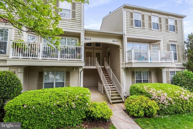 8202 Catbird Circle - Photo 1