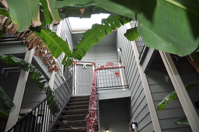 3754 Tanglewilde Street - Photo 1