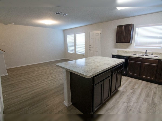 3922 Richey Silver Street - Photo 1