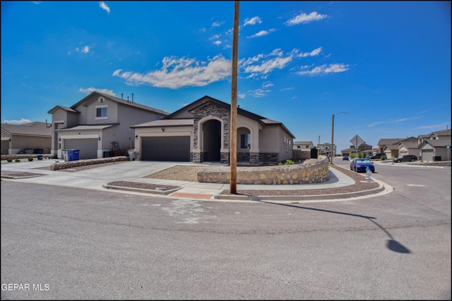 6980 White Mesquite Way - Photo 1