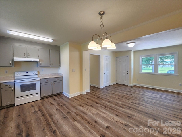 705 China Grove Highway - Photo 1