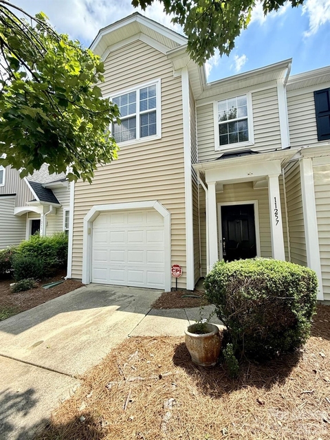 11257 Lions Mane Street - Photo 1