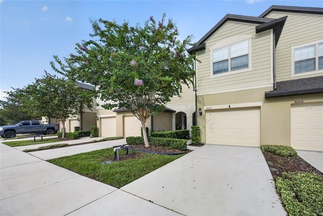 3004 Alessa Loop - Photo 1