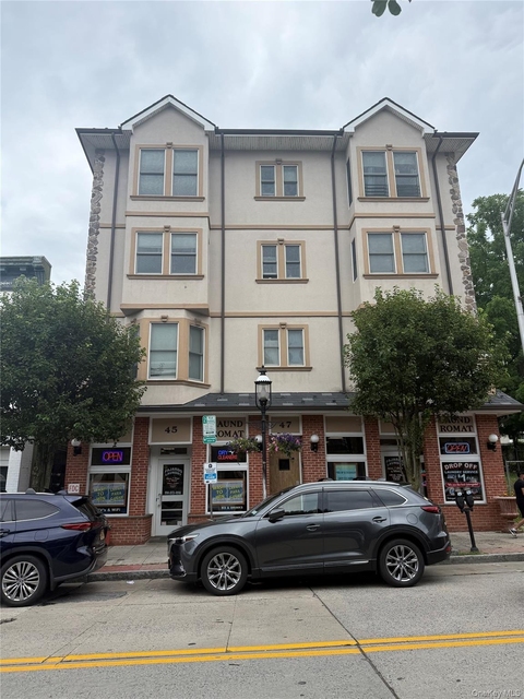 45-47 Spring Street - Photo 1