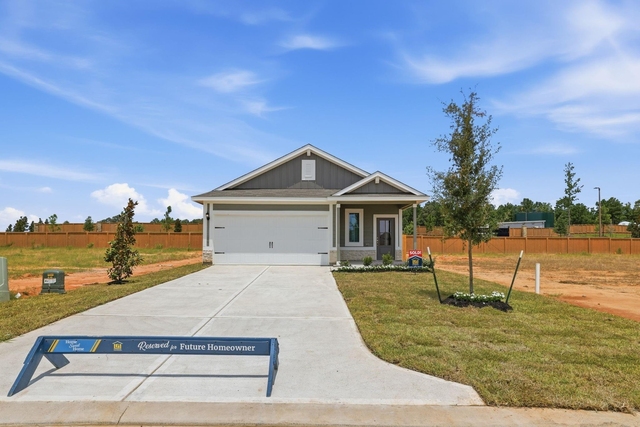 21623 Lotus Elm Street - Photo 1