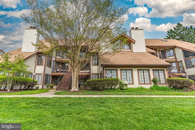 6015 Curtier Drive - Photo 1