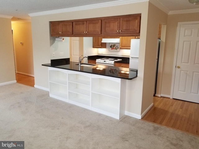 2603 Camelback Lane - Photo 1
