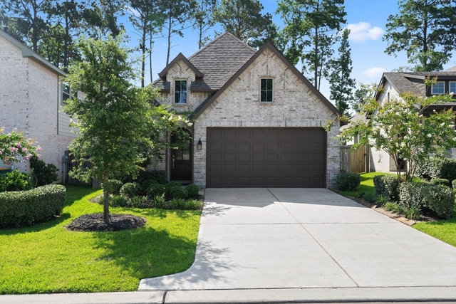 434 Soapberry Tree Court - Photo 1