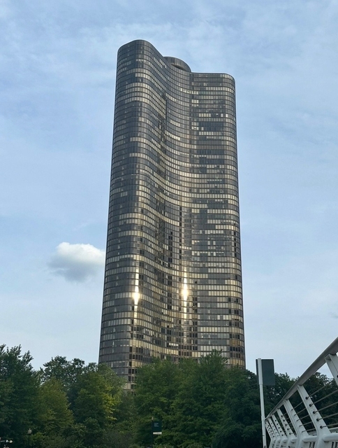 505 N Lake Shore Drive - Photo 1