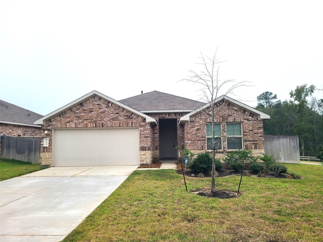 14628 Bellaria Manor Lane - Photo 1