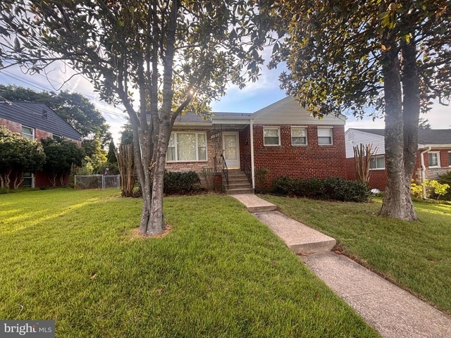 11203 Dodson Lane - Photo 1