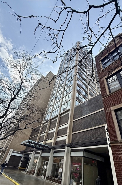 3110 N Sheridan Road - Photo 1