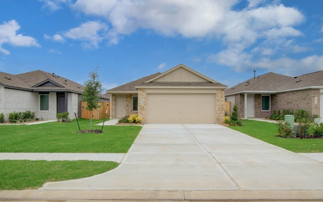 31212 Piccolo Fiore Lane - Photo 1