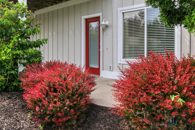 320 S Blue Star Highway - Photo 1