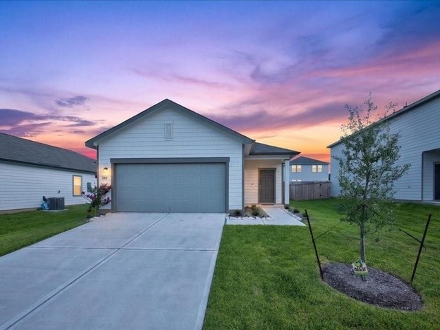 31318 Gayle Prairie Oaks Stree - Photo 1