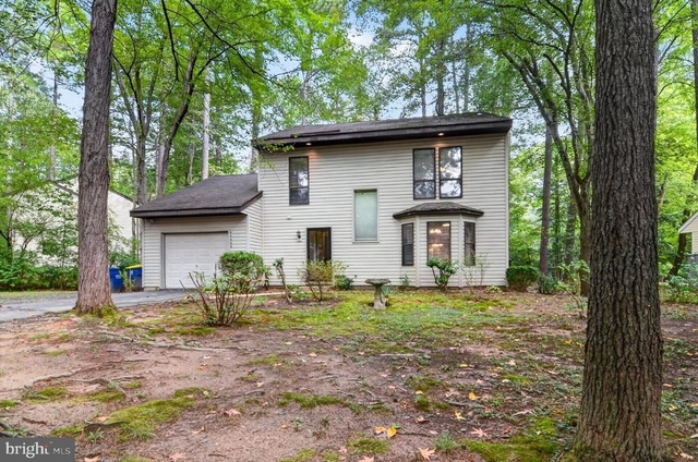 44550 White Pine Court - Photo 1