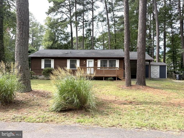 12129 Tall Pine Trl Trail - Photo 1