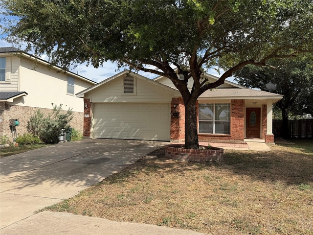 1617 Tea Leaf Dr - Photo 1