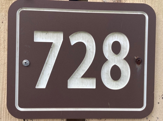 728 Mill Valley Place - Photo 1
