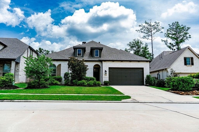 17469 Chestnut Cove Drive - Photo 1