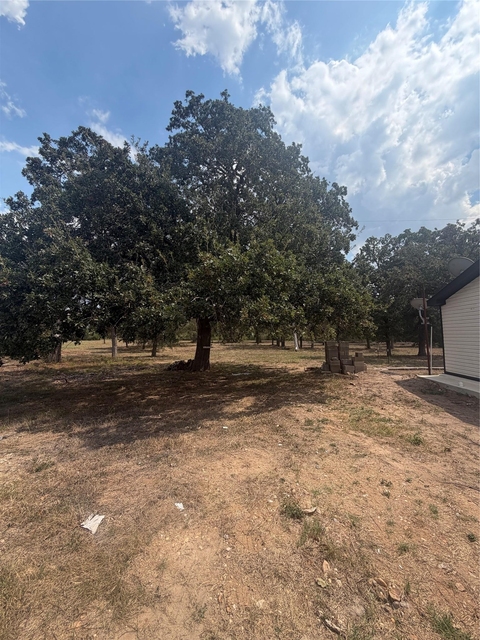 161 Phelan Rd - Photo 1