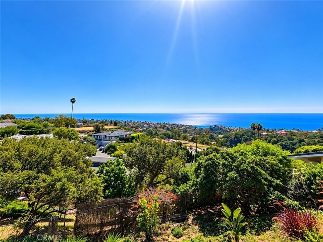 1156 Las Pulgas - Photo 1