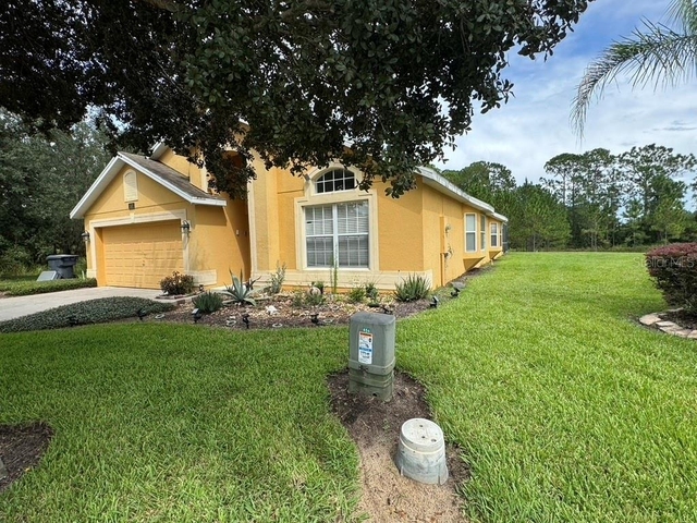 1101 Orange Cosmos Boulevard - Photo 1