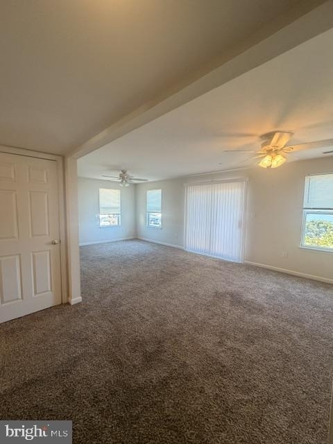 8909 Chesapeake Avenue - Photo 1