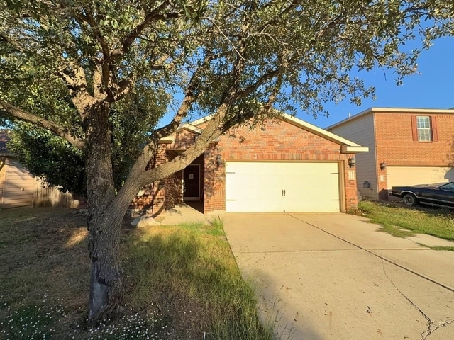 10009 Iron Ridge Drive - Photo 1