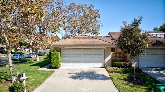 17222 Citron - Photo 1