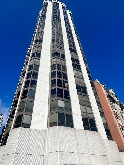 990 N Lake Shore Drive - Photo 1