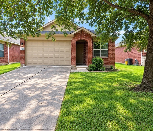 1107 Honeysuckle Vine Drive - Photo 1