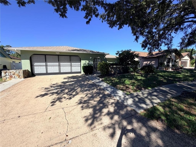 8725 Aruba Lane - Photo 1
